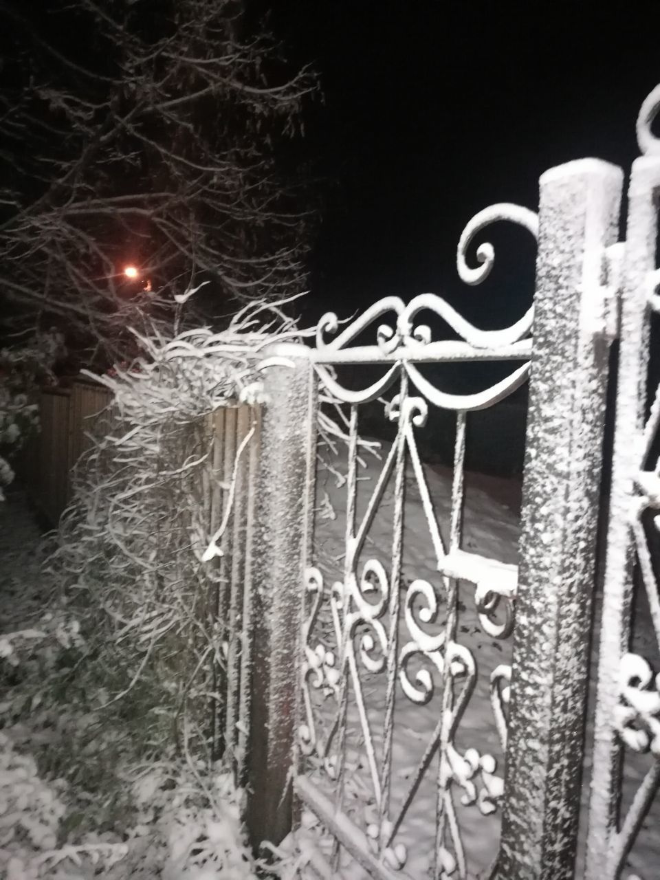 Мой профиль