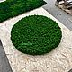 Круглое панно из мха. Фитокартины. Green.Box. Ярмарка Мастеров.  Фото №4