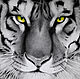 Картина тигр с зелеными глазами, бумага, карандаш, Картины, Москва,  Фото №1