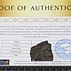 Метеорит Капустин Яр. Скульптуры. MeteoritеStyle. Ярмарка Мастеров.  Фото №5