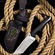 Handmade knife 'Fang' 110H18M-SD, Knives, Chrysostom,  Фото №1