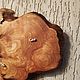Часы из капа лиственницы сибирской с эллипсовидными цифрами. Часы классические. Кап (ANovikov). Ярмарка Мастеров.  Фото №5
