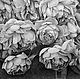 Picture of Peony roses, paper, pencil, 34h50, Pictures, Moscow,  Фото №1
