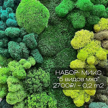 Цветы и флористика ручной работы. Ярмарка Мастеров - ручная работа Набор Микс из 5 видов мха, для творчества. Handmade.