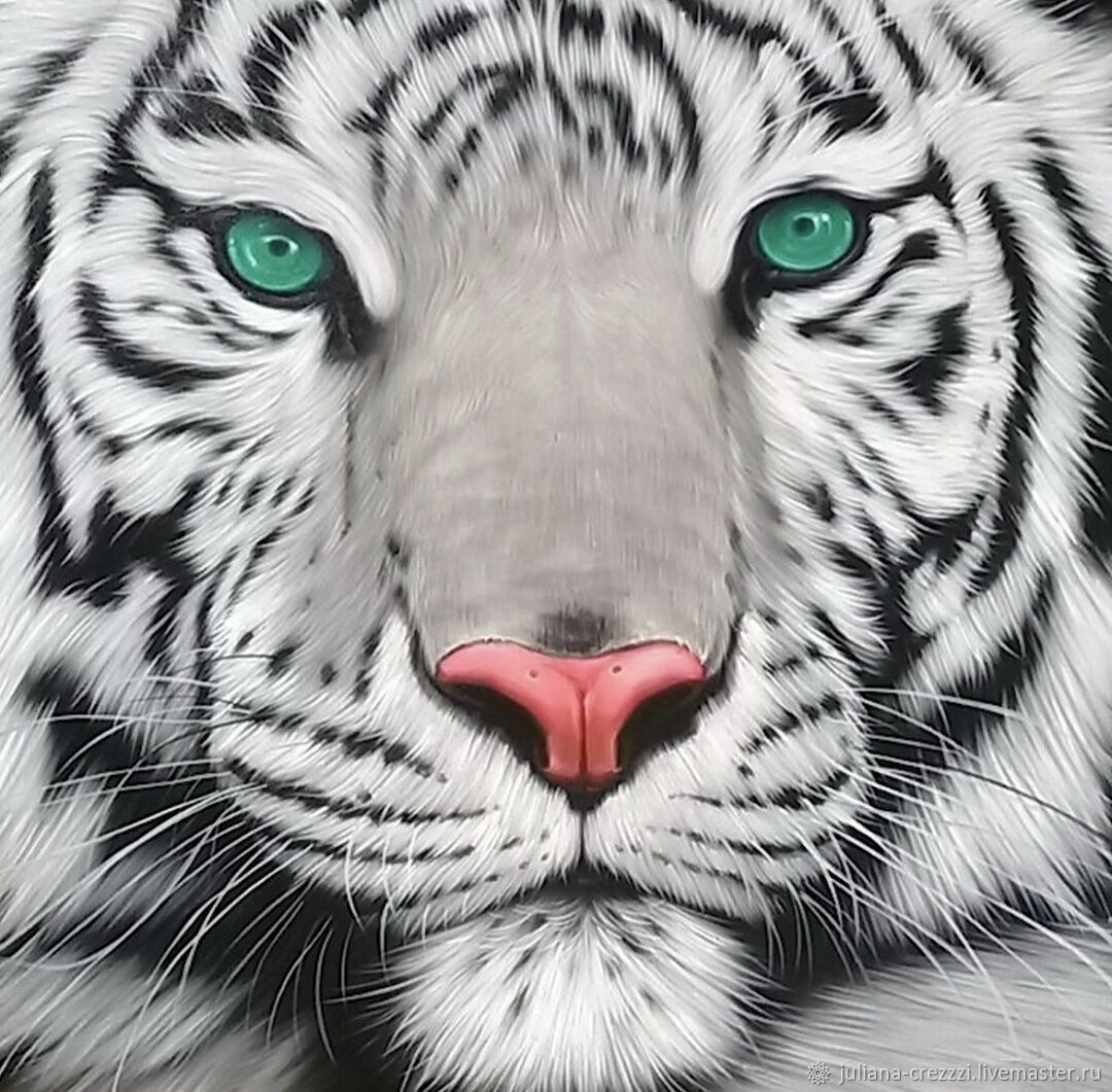 Белый тигр красками