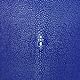 Кожа морского ската, полированная, синий цвет, Кожа, Санкт-Петербург,  Фото №1