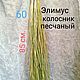 Элимус. Колосник песчаный. Сухоцвет. Материалы для флористики. Na-vse-ruki-3. Интернет-магазин Ярмарка Мастеров.  Фото №2