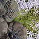 Набор тыкв"Поздняя осень". Элементы интерьера. Nature in me. Ярмарка Мастеров.  Фото №7