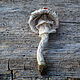 Textile brooch-mushroom Toadstool - Fly Agaric. Brooches. Heat hands (TeplOlino). My Livemaster. Фото №5