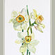 watercolor. Watercolor miniature. flowers. daffodils. Pictures. ArtShipilina. My Livemaster. Фото №4