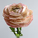 Ранункулюс,ранункулюс цветок,розовый цветок,бежевый цветок,лютик садовый.
.Цветы и украшения Зарифы Пироговой.