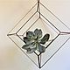 The Floriana. Suspension form for Floriana - three-dimensional rhombus. Pendants for pots. Glass Flowers. Online shopping on My Livemaster.  Фото №2