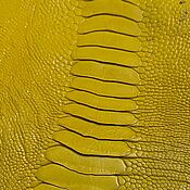 Материалы для творчества handmade. Livemaster - original item Ostrich shin leather, yellow color, semi gloss coating.. Handmade.