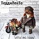 Online course Little Big Teddy. Sewing patterns. Lisevich Teddy Besrs. Online shopping on My Livemaster.  Фото №2