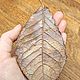 Подвеска-брошь "Грушевый лист". Подвеска. Leaf Craft. Медные украшения. Ярмарка Мастеров.  Фото №6