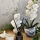 Заказать Диффузор Peony/ Пион. enigma-decor. Ярмарка Мастеров. . Ароматические диффузоры Фото №3