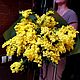 Букет Мимозы на 8 марта Живые цветы Упаковка бесплатно. Букеты. DARK FLORIST Флористика Декор ЦВЕТЫ. Интернет-магазин Ярмарка Мастеров.  Фото №2