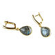 Order Earrings with labrador, gray earrings, earrings with pendants. Irina Moro. Livemaster. . Earrings Фото №3