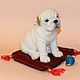 English bulldog'Molly'. Stuffed Toys. Anna Petinati- Live toys handmade. Online shopping on My Livemaster.  Фото №2