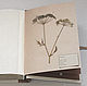Album for a herbarium Sheet of the fern (A4, 30 Kraft sheets). Photo albums. Albums and notebooks (Anna). My Livemaster. Фото №4