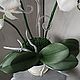  Орхидея фаленопсис из фоамирана. Цветы. Natashaflowers_decor. Ярмарка Мастеров.  Фото №5