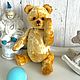 Заказать Набор для создания Мишки Тедди. JTDOLLS. Ярмарка Мастеров. . Мишки Тедди Фото №3