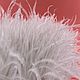 Ostrich feathers on a ribbon 12-13 cm, braid, Moscow,  Фото №1