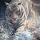 белый тигр, Картины, Тула,  Фото №1