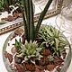  Аранжировка "Мексика" суккуленты,кактусы. Растения. DARK FLORIST Флористика Декор ЦВЕТЫ. Ярмарка Мастеров.  Фото №4
