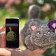 Игрушка Кот Мута «Шепот сердца», Мягкие игрушки, Краснодар,  Фото №1