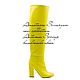 Сапоги женские "Yellow Light", Сапоги, Барнаул,  Фото №1