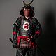 Armor of the samurai, Armour, St. Petersburg,  Фото №1