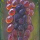 Picture sunny bunch of grapes, Pictures, Mytishchi,  Фото №1