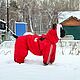 Заказать Одежда для собак.Кане-корсо. Зимний комбинезон с капюшоном. Зооателье 'Веселый хвост'. Ярмарка Мастеров. . Одежда для питомцев Фото №3