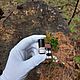 Масляные духи, набор пробников, 9 шт по 1 мл. Духи. Wild Mystery Perfumes. Интернет-магазин Ярмарка Мастеров.  Фото №2