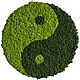 Round fotokartin 'Yin and Yang' of stabilized moss, Fitokartins, Belgorod,  Фото №1