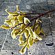 Питтоспорум Нигра из холодного фарфора. Растения. Tanyafloralbeauty. Ярмарка Мастеров.  Фото №4