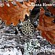 Кулон Солнце подвеска Солнышко украшение с солнцем. Подвеска. NIKISTORE - bronze (nikistore-art). Ярмарка Мастеров.  Фото №6