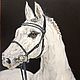 Horse oil painting. Grace, Pictures, Moscow,  Фото №1