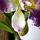 Композиция "Орхидея каттлея". Цветы. Кира Горбова. Интернет-магазин Ярмарка Мастеров.  Фото №2