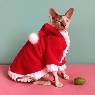 Новогодний Костюм Для Кота