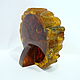 'The last supper' amber carving Pd-84. Pictures. Amber shop (vazeikin). My Livemaster. Фото №5