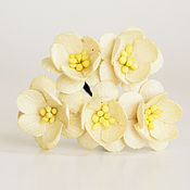 Материалы для творчества handmade. Livemaster - original item Paper flowers for scrapbooking cherry blossoms milk, 1pc.. Handmade.