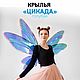 Carnival wings 'Cicada blue', Cosplay costumes, Krasnodar,  Фото №1