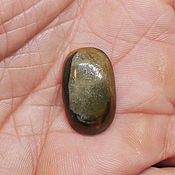 Аммонитовый симбирцит с перламутром, аммолит 50 мм