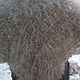 Down scarf grey 'Jurochka' Volgograd-the-Pooh. Kerchiefs. handmade from the wool of goats. My Livemaster. Фото №4