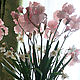 Pink iris,German iris, bouquet of irises,interior bouquet, pink bouquet,delicate irises.Flowers and decorations Zarifa Pirogova.
