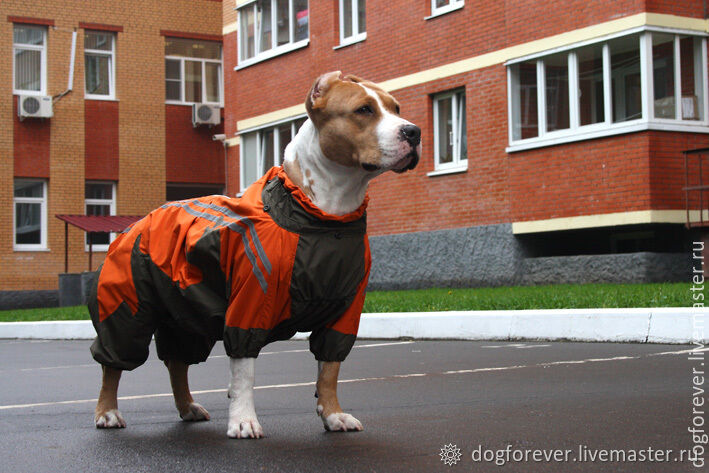 Страница коврик для собаки: Бишкек ᐈ Зоотовары ▷ объявлений ➤ irhidey.ru