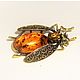Order Insect Beetle jewelry Beetle brooch Insect brooch Stone amber jewelry. BalticAmberJewelryRu Tatyana. Livemaster. . Brooches Фото №3