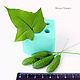 Order 'CUCUMBERS' SILICONE MOLD. Mozza-Flowers. Livemaster. . Molds for making flowers Фото №3